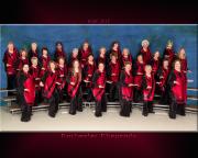 2015 Area Competition